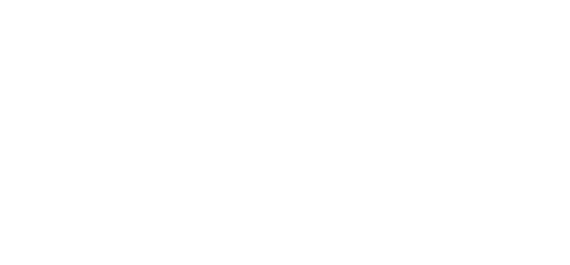 BFA logo